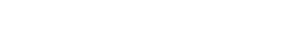 Logo Primus Valor - weiß und in einer Zeile
